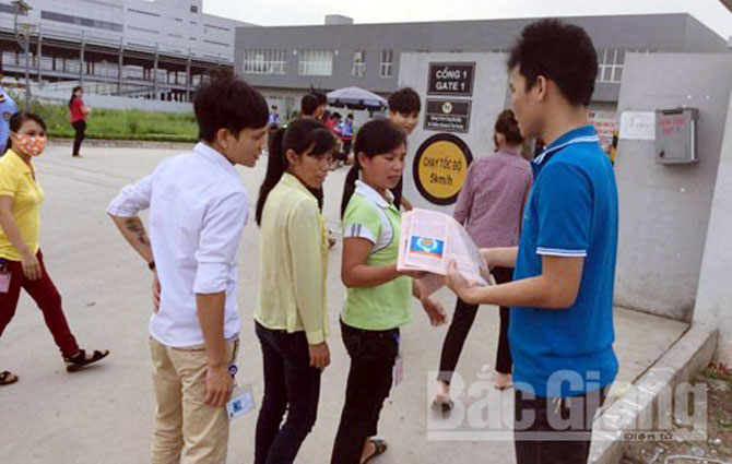 bầu cử, Việt Yên