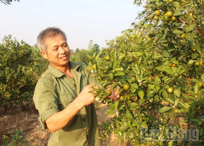 {keywords} {keywords}