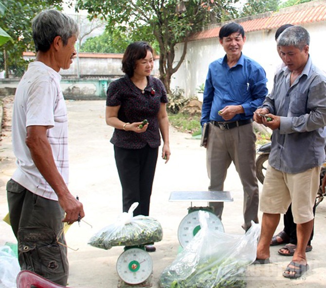 {keywords} {keywords}