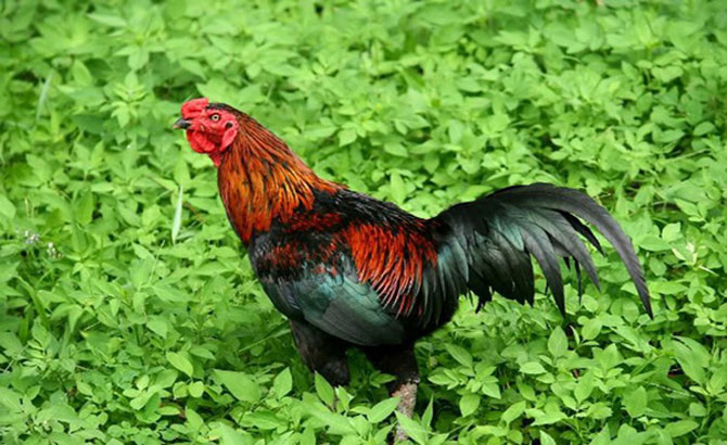 {keywords} {keywords}