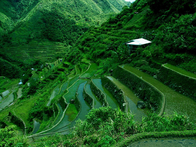 {keywords} {keywords}