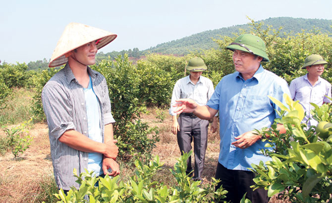Chairman of the provincial People’s Committee Nguyen Van Linh: Authorities devoted to enterprises, enterprises thirsty for success