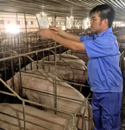 {keywords} {keywords}