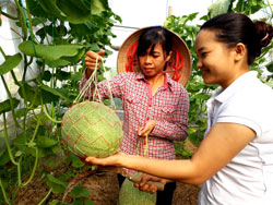 {keywords} {keywords}