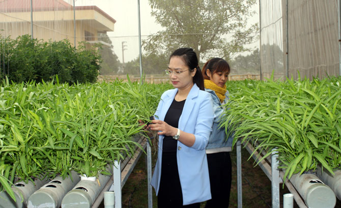 {keywords} {keywords}