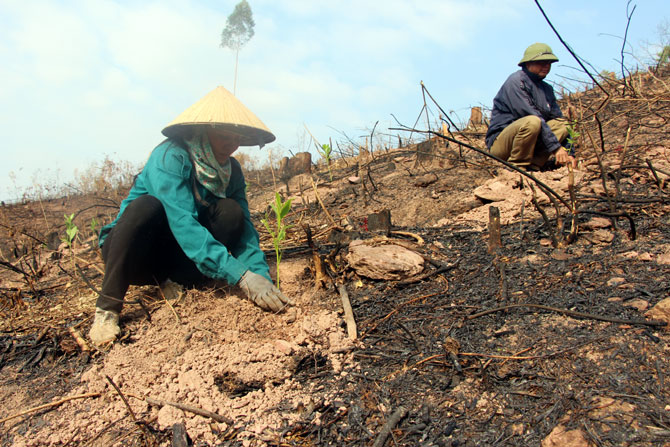 {keywords} {keywords}