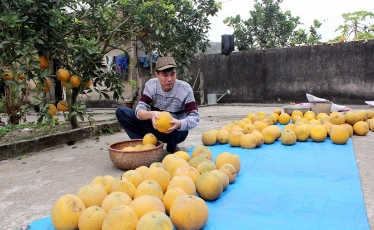  Sản vật quê nhà
