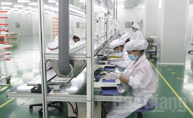 Bac Giang: 143 new businesses established since beginning of 2017