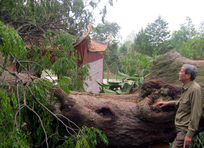 {keywords} {keywords}