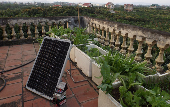 "Ứng dụng công nghệ đèn LED vào trồng rau trong thùng xốp"