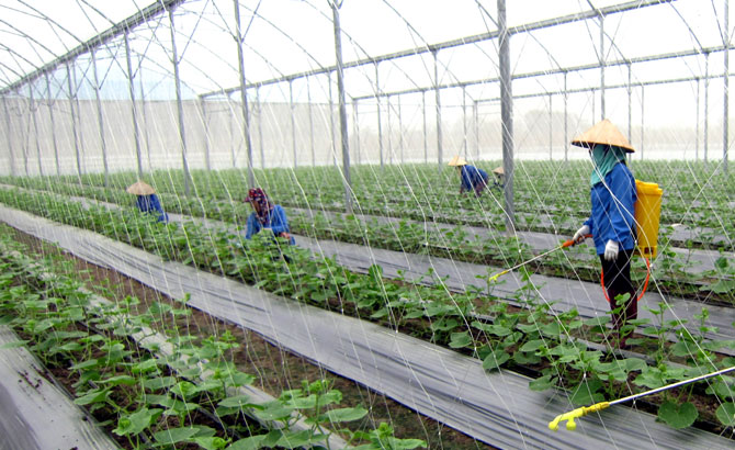 {keywords} {keywords}