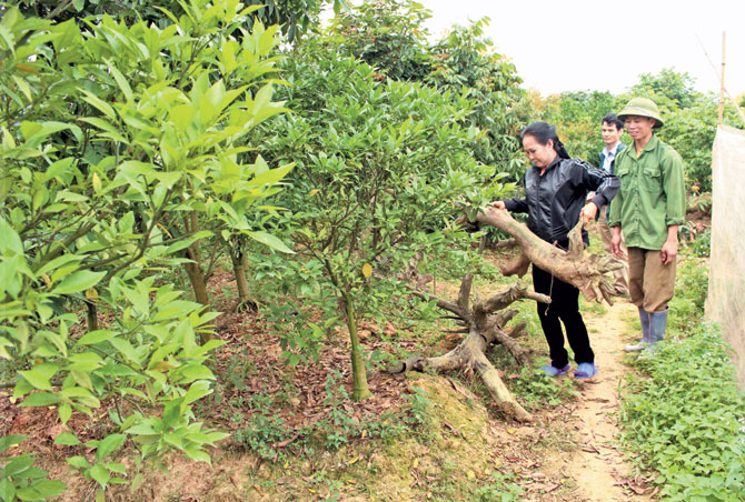 {keywords} {keywords}