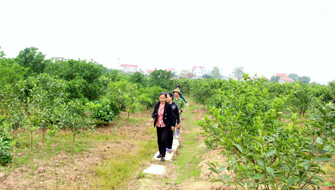 {keywords} {keywords}