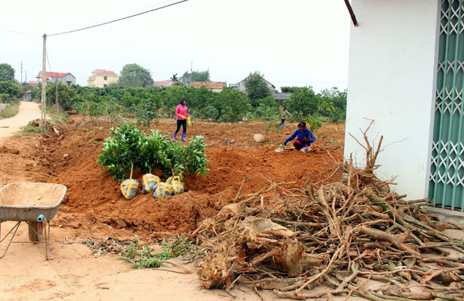 {keywords} {keywords}