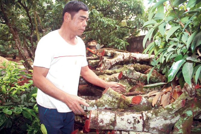 {keywords} {keywords}