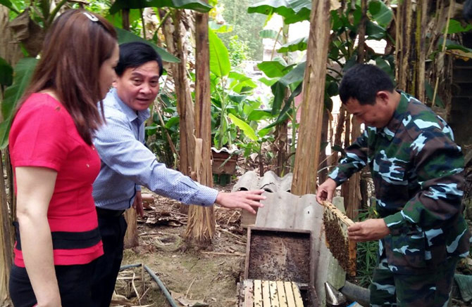 Tạo điều kiện cho các HTX trên địa bàn huyện Sơn Động sản xuất các sản phẩm chủ lực của địa phương