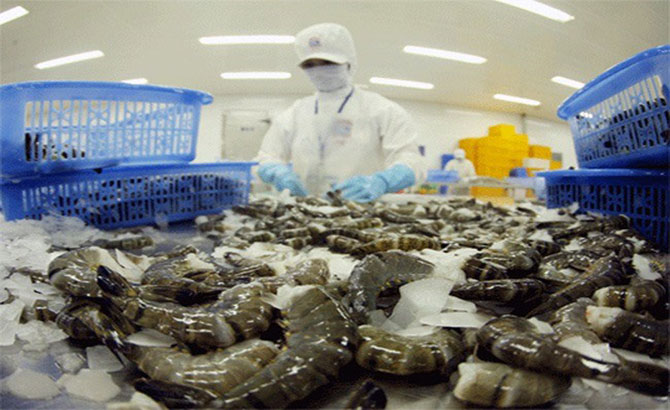 Agriculture body invests in seafood competitiveness