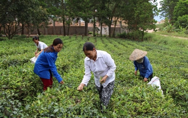  Sản vật quê hương