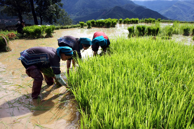 {keywords} {keywords}