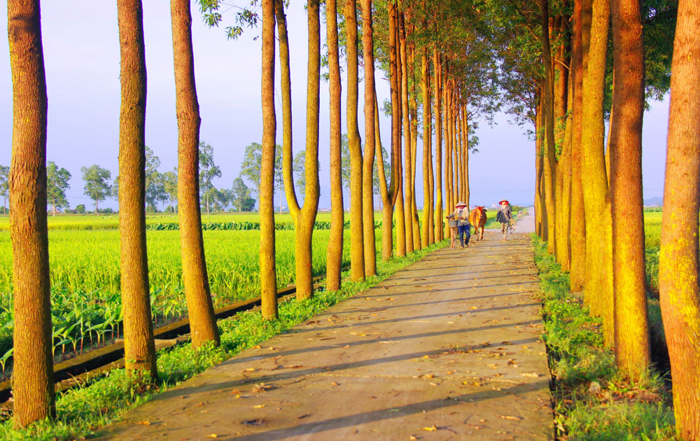 {keywords} {keywords}