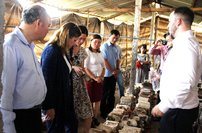 {keywords} {keywords}