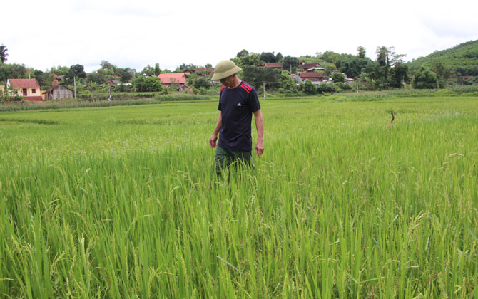 {keywords} {keywords}