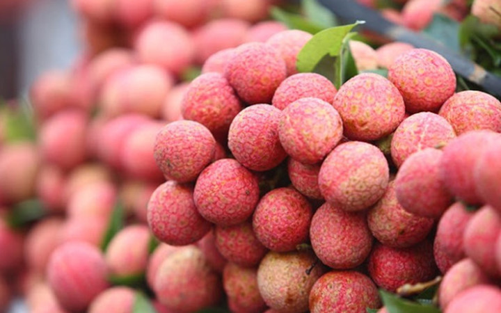 Vải thiều VietGAP Lục Ngạn "cháy hàng"
