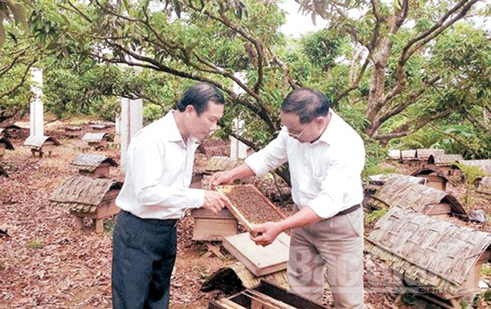 Cần cơ chế hỗ trợ xây dựng thương hiệu mật ong rừng Sơn Động
