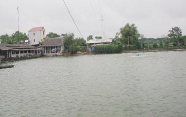  Sản vật quê nhà