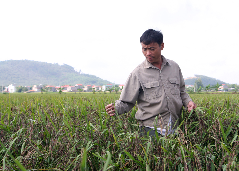 {keywords} {keywords}