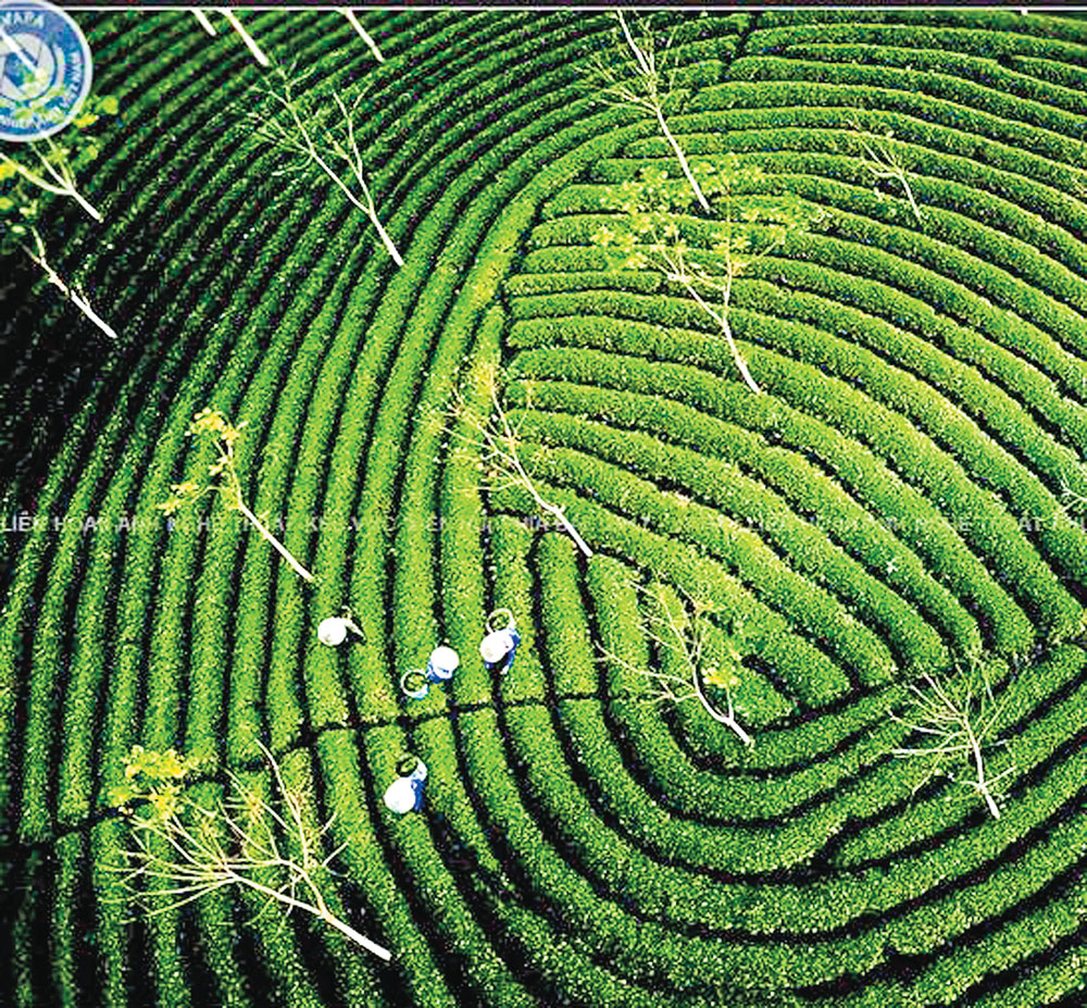 {keywords} {keywords}