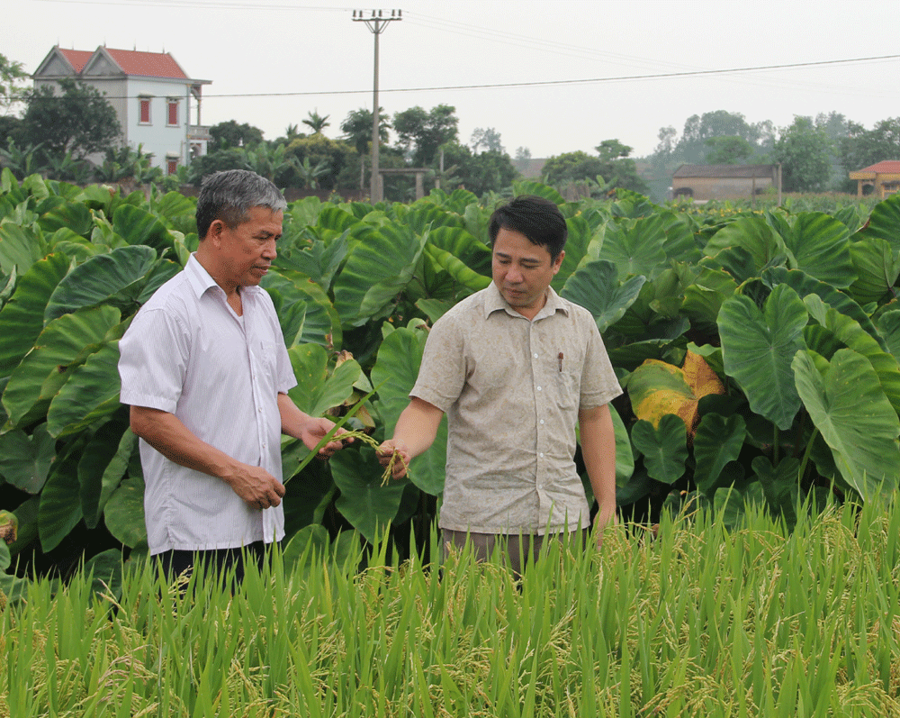 {keywords} {keywords}