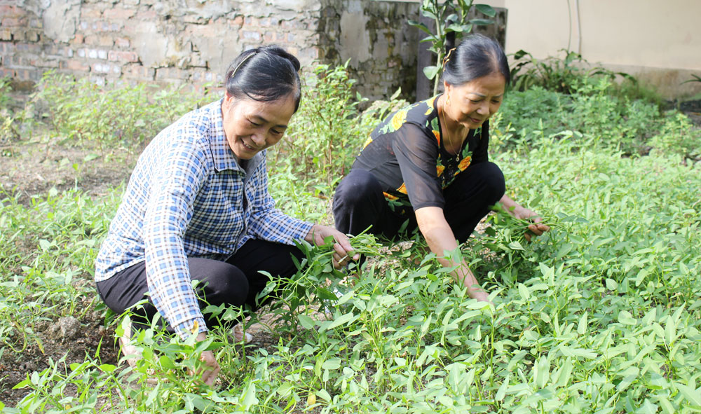 {keywords} {keywords}