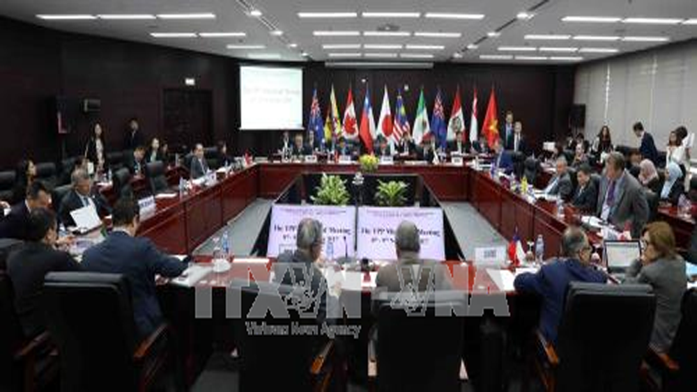 Doanh nghiệp xuất khẩu sẽ hưởng lợi khi Việt Nam tham gia CPTPP