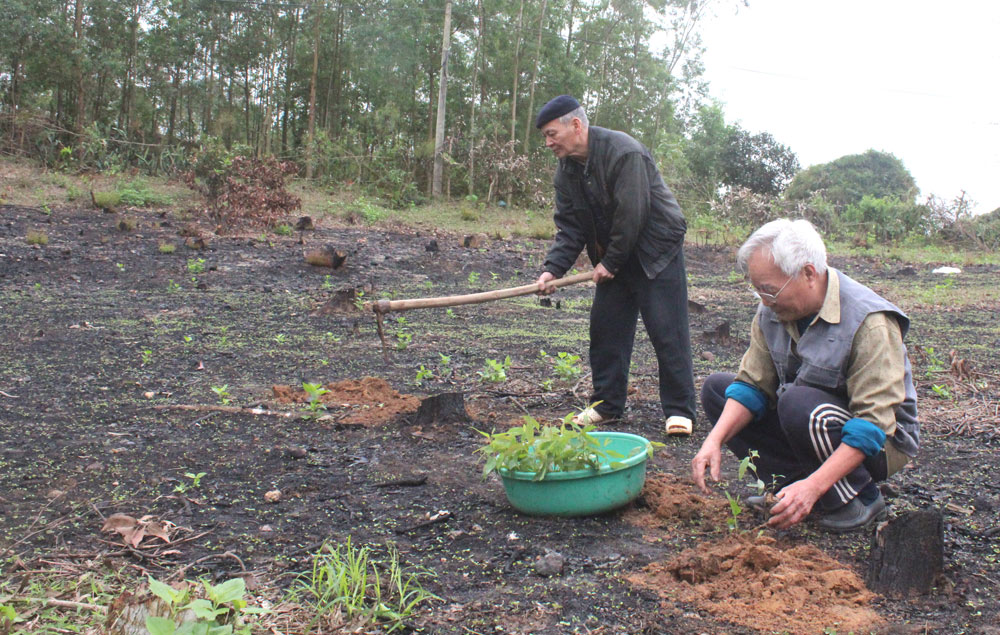 {keywords} {keywords}