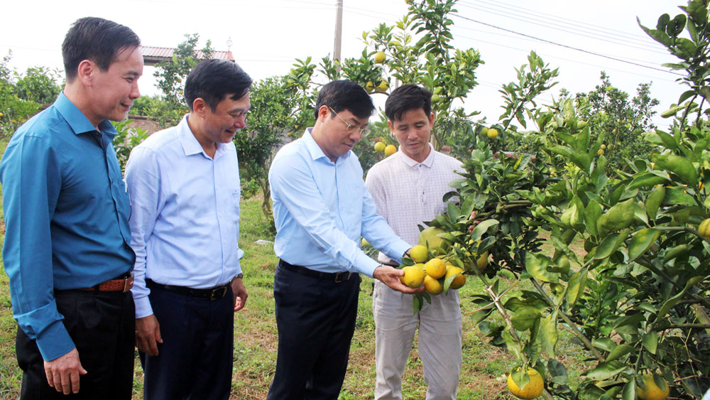 {keywords} {keywords}