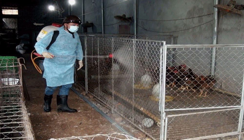 {keywords} {keywords}