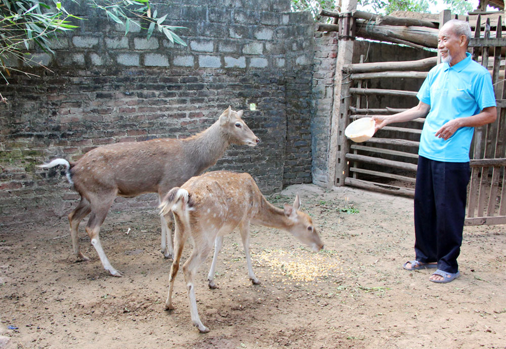 {keywords} {keywords}