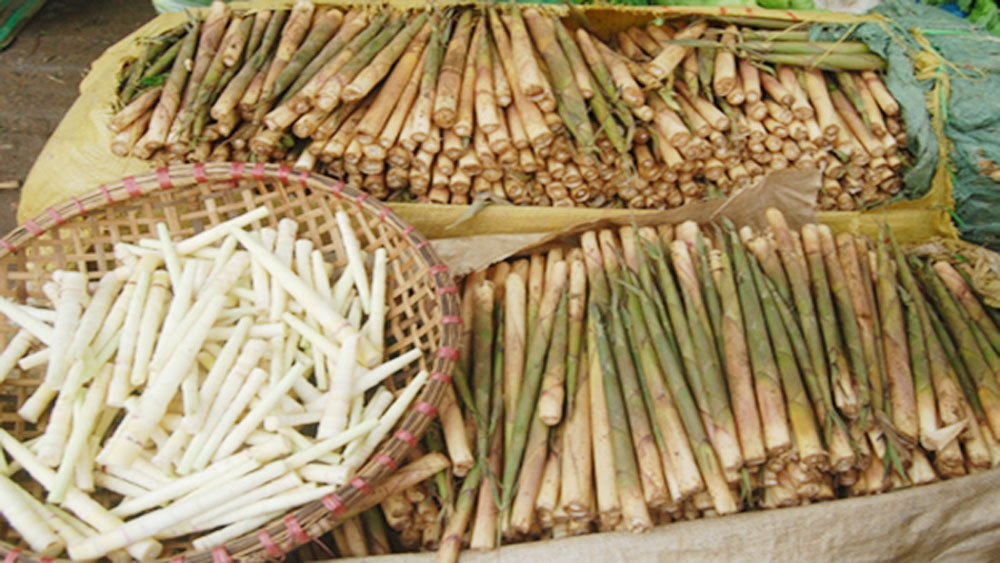 Mang dang (bamboo sprouts)