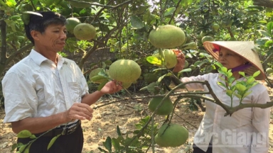  Sản vật quê nhà