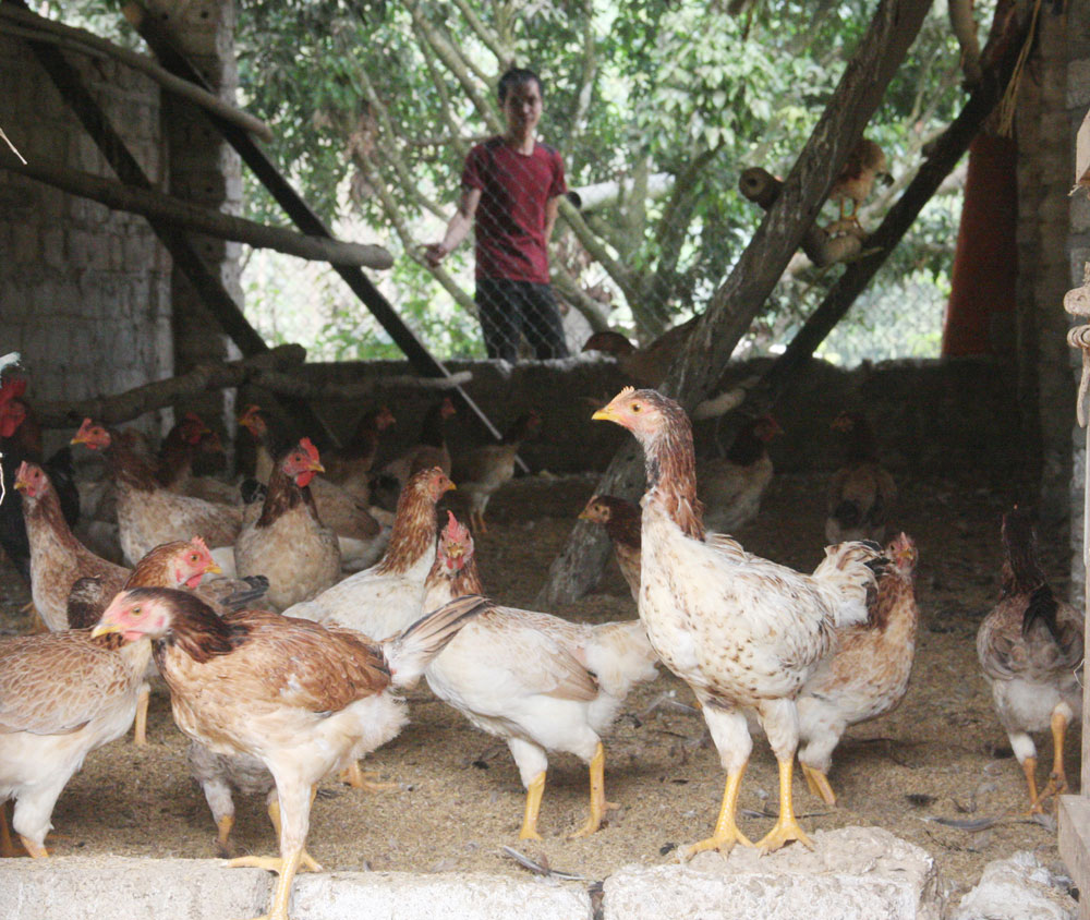 {keywords} {keywords}