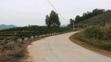  Nghị quyết với cuộc sống