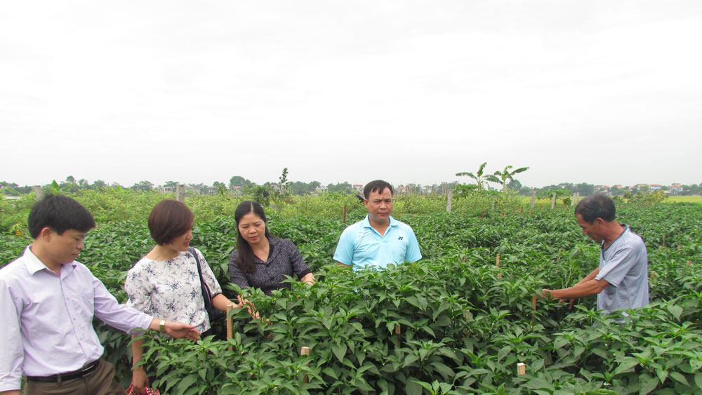 {keywords} {keywords}