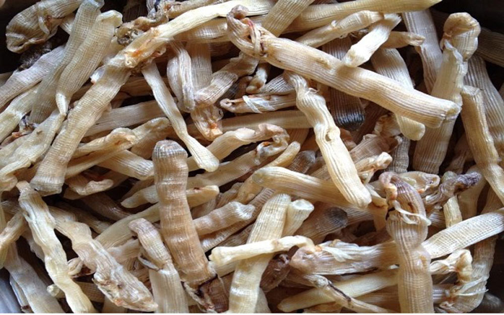 {keywords} {keywords}