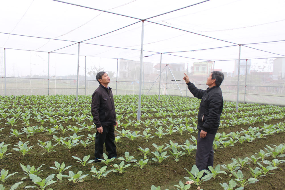 {keywords} {keywords}