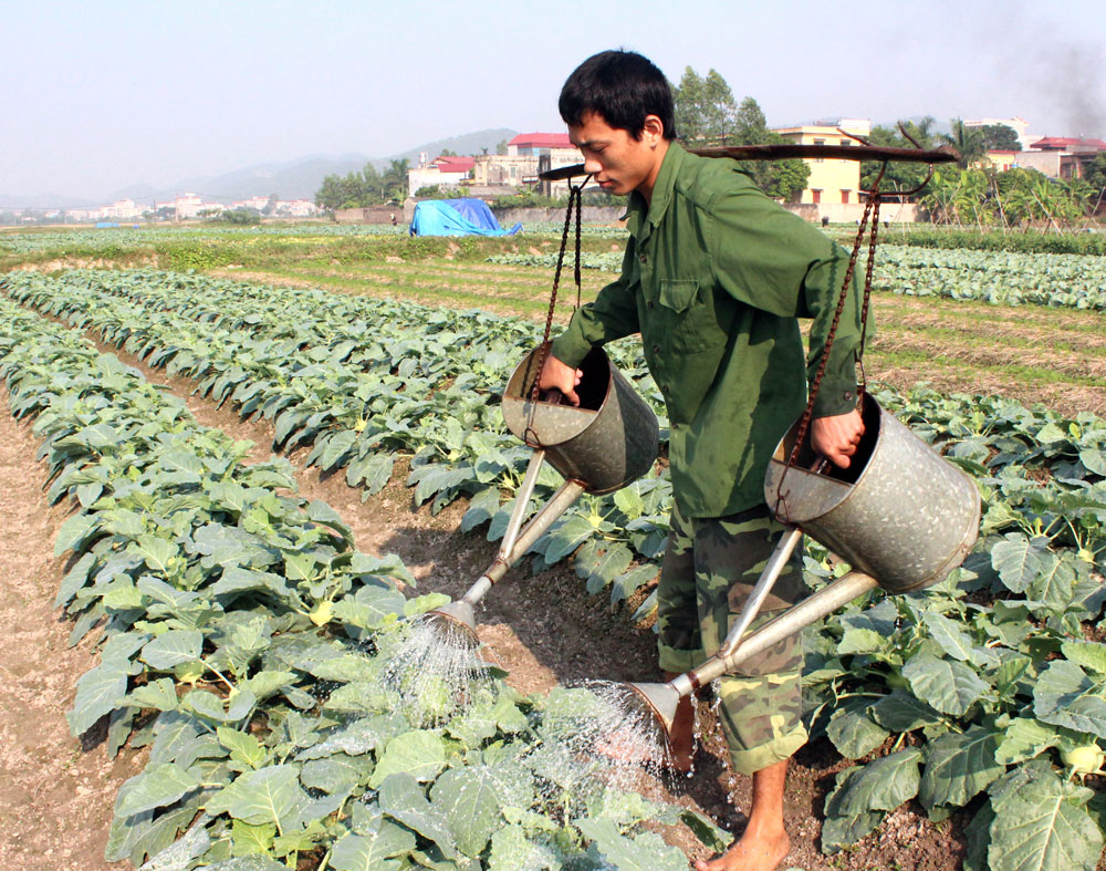 {keywords} {keywords}