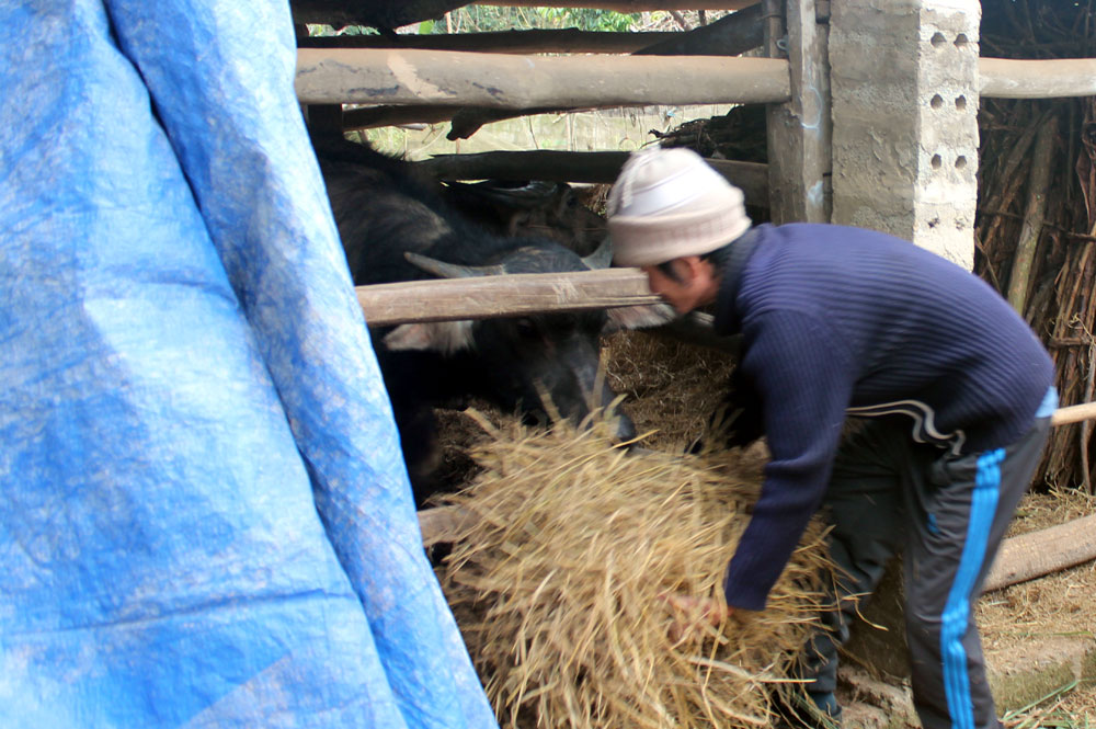 {keywords} {keywords}