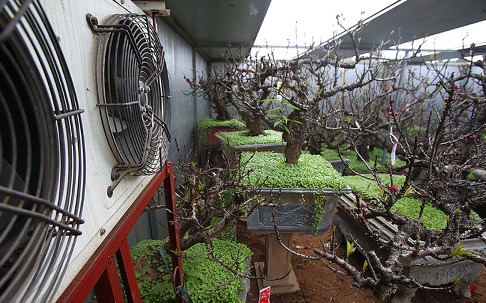 {keywords} {keywords}