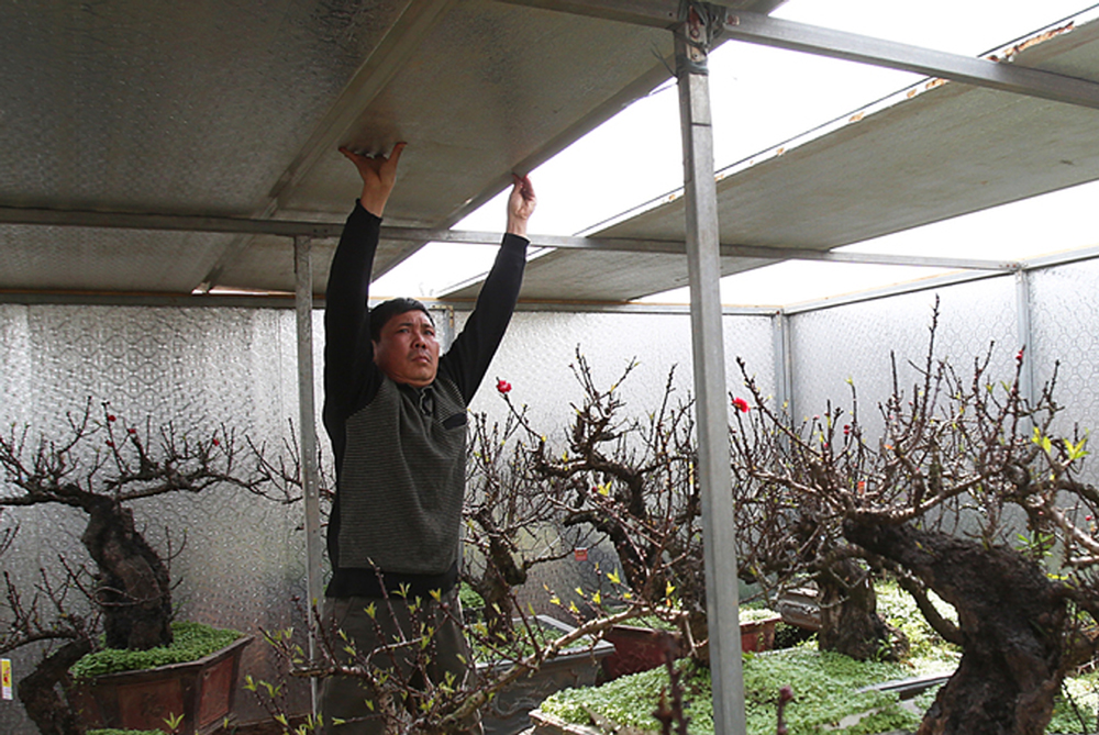 {keywords} {keywords}