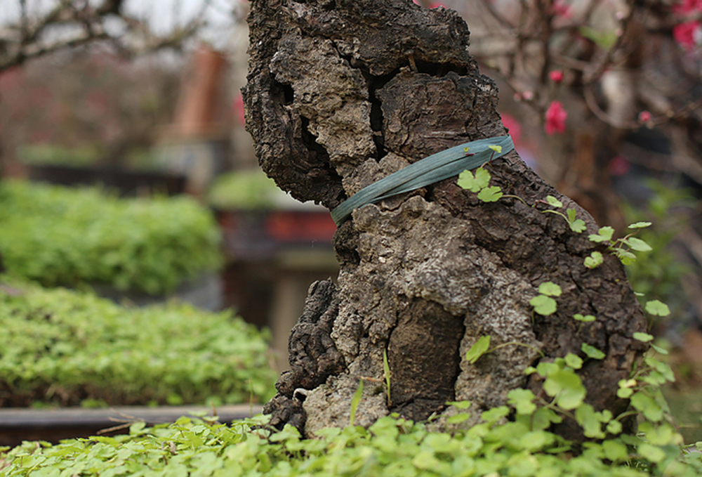 {keywords} {keywords}